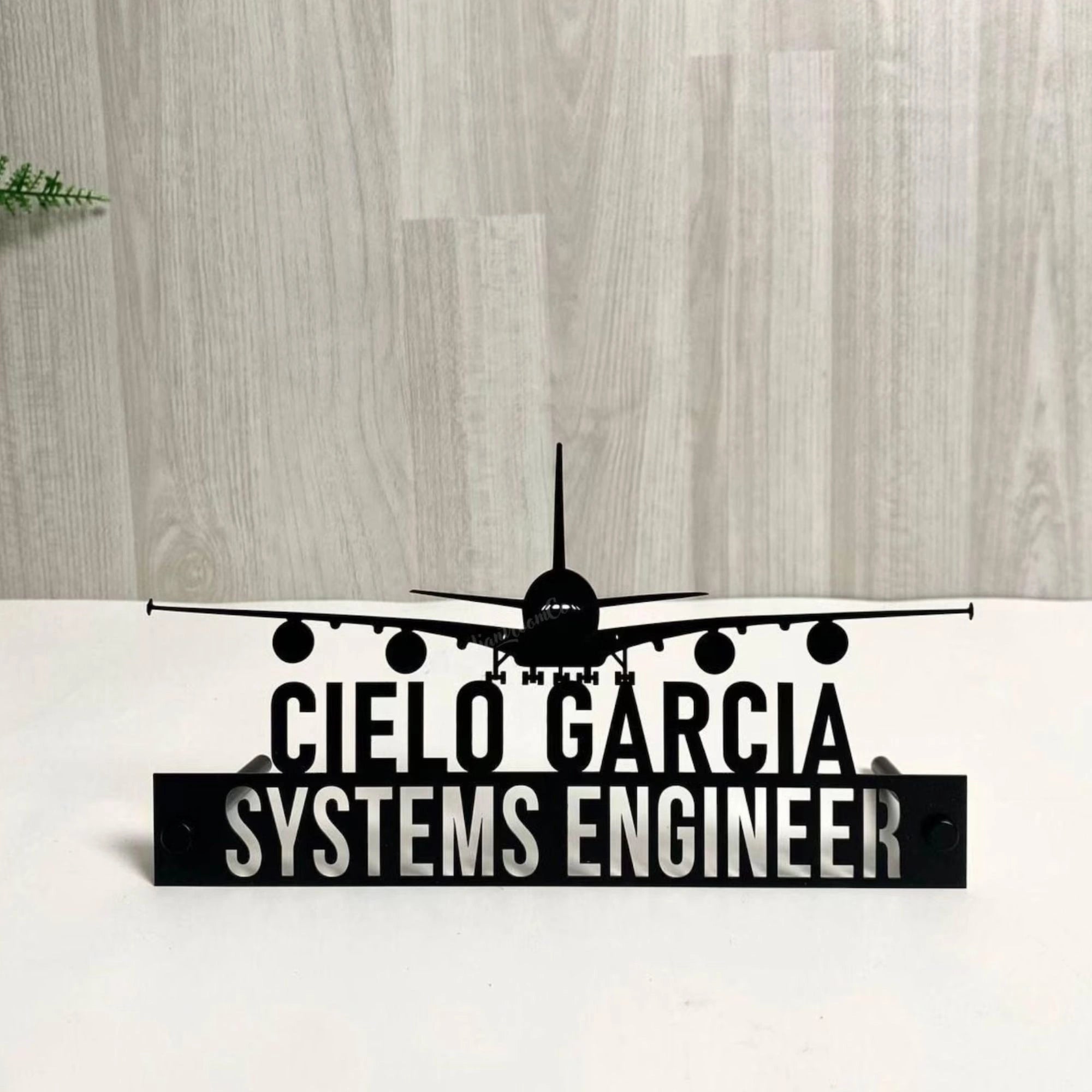Personalized Systems Engineer Desk Name Plate - Custom Airplane Theme Stainless Steel Table Sign - Aviation Engineer Office Decor