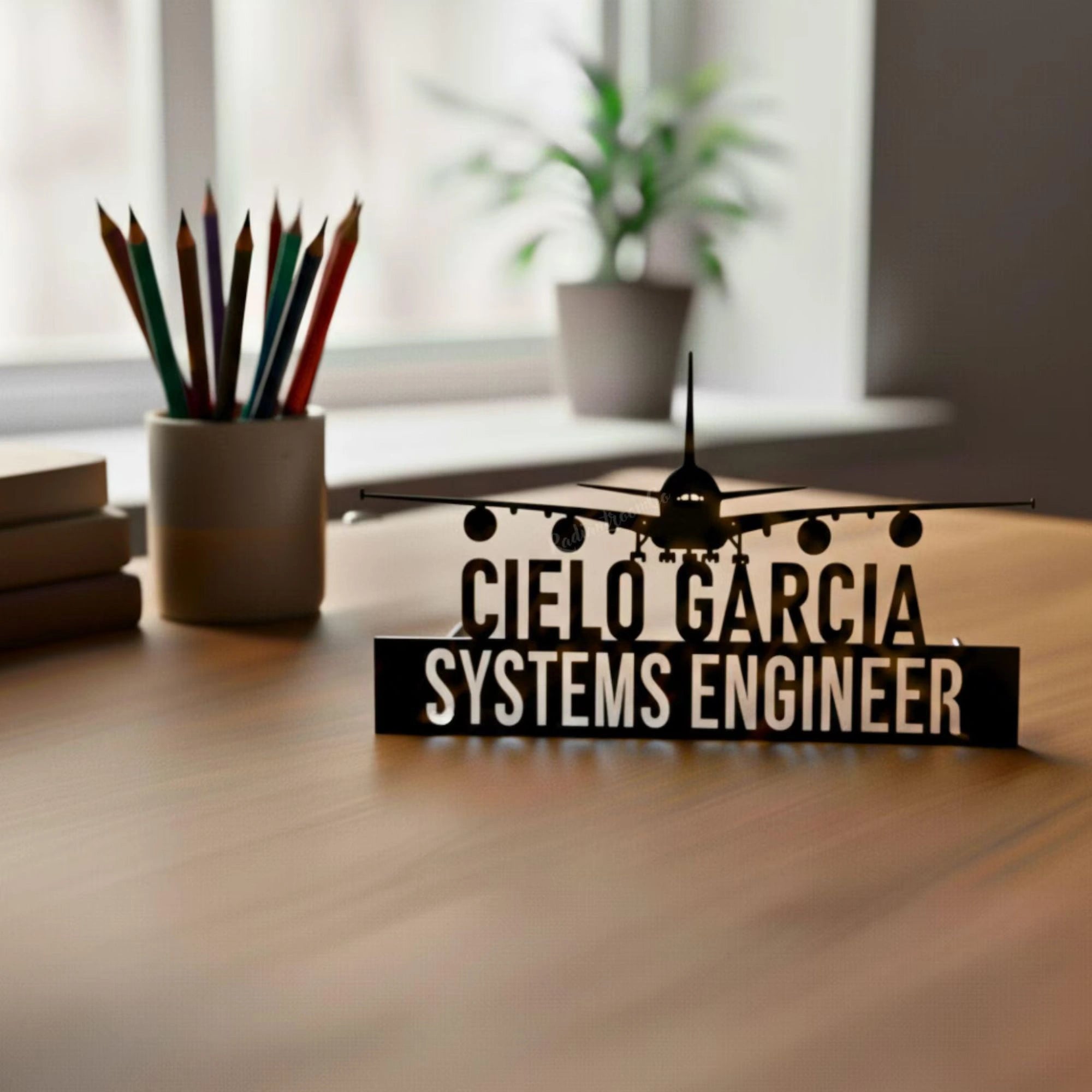 Personalized Systems Engineer Desk Name Plate - Custom Airplane Theme Stainless Steel Table Sign - Aviation Engineer Office Decor