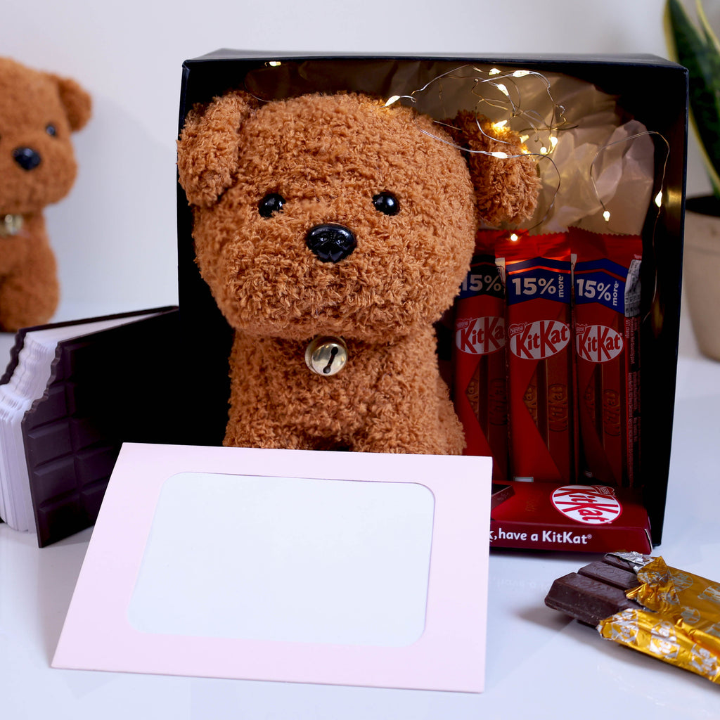 Plush Teddy & KitKat Chocolate Valentine Gift Hamper – Cute Romantic Surprise Box for Her