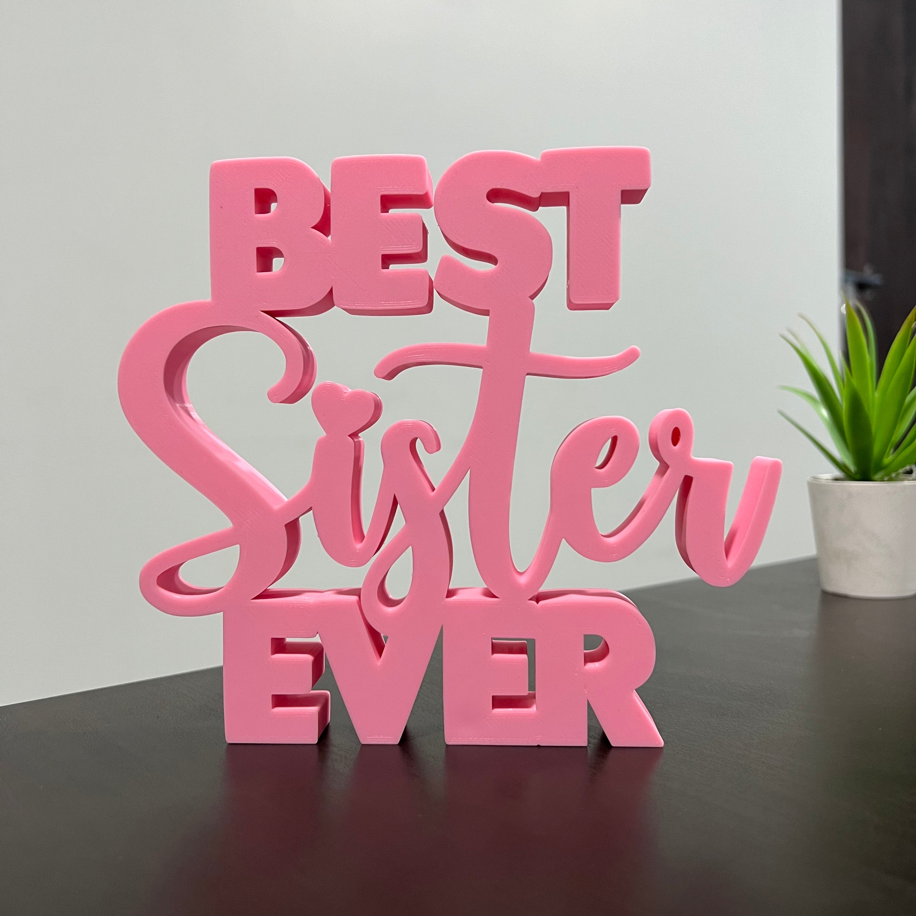 Personalised 3D Best Brother Sister Ever Showpiece