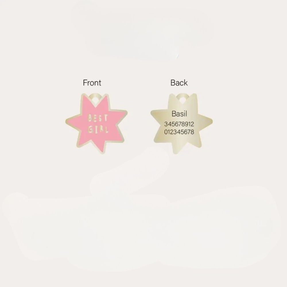Moskai “Best Girl” Pink Enamel Pet ID Tag – Engraved Dog & Cat Name Tag