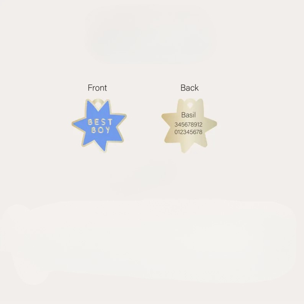 Moskai Durable Engraved Dog & Cat ID Tag – Personalized Pet Name Tag