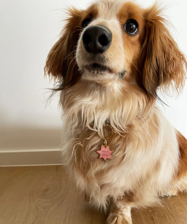Moskai “Best Girl” Pink Enamel Pet ID Tag – Engraved Dog & Cat Name Tag
